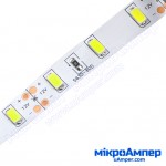 LED стрічка холодно-біла 5630-60 IP20