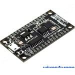 RobotDyn NodeM ESP8266 32M CH340