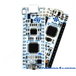 Nucleo F303K8 STM32F303K8T6